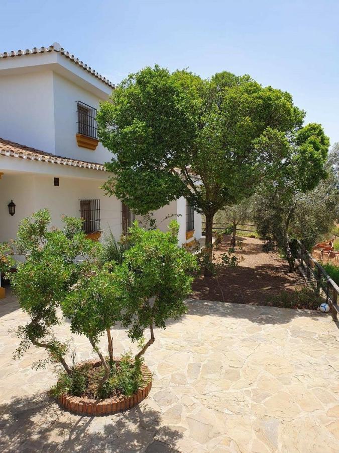 Cortijo El Arrejadero Villa Villanueva del Rosario Exterior photo